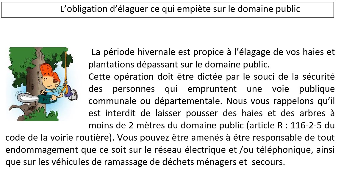 elagage